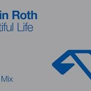Martin Roth Beautiful Life Anjunadeep