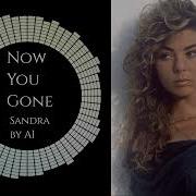 Sandra By Ai Now You Gone