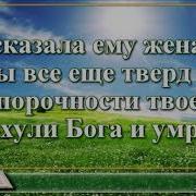 Книга Иова Николай Козий