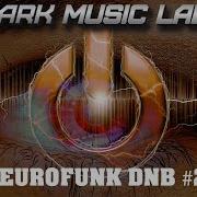 Neurofunk 2022