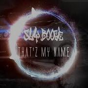 Sly Boogy That Z My Name