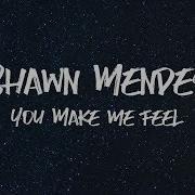 Shawn Mendes You Make Me Feel