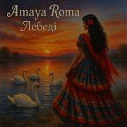 Amaya Roma Лебеді