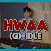 Hwaa Marimba