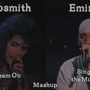 Eminem Sing For The Moment Remix