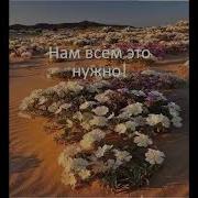 Аве Мария На Арамейском Языке