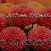 Елена Ваймер С Днем Рождения Доченька