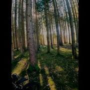 Рёв Мотоцикла