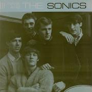 The Sonics Strychnine