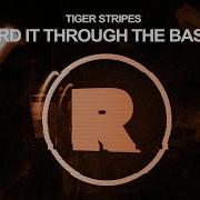 Tiger Stripes The Bassline