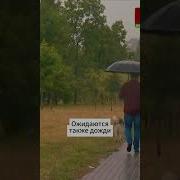 Дождь Тик Ток