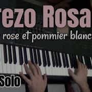 Cerezo Rosa Instrumental Piano