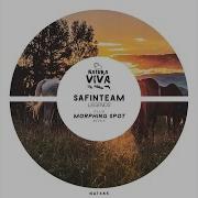 Safinteam Say What You Want Original Mix