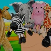 Animal Finger Family Song Animals Sounds