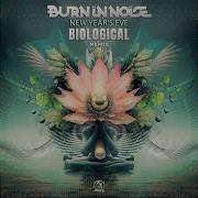 Burn In Noise New Year S Eve Biological Remix