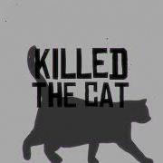 Killed The Cat Cjbeards