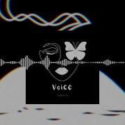 Vlinder Vos