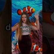 Шансон На Немецком Языке