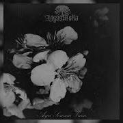 Aegri Somnia Full Album