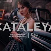 Cataleya Oriental Afrobeat Reggaeton Balkan Dancehall Instrumental Prod By Bujaa Beats