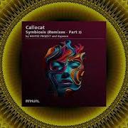 Callecat Paul Hazendonk State Of Mind Noiyse Project Remix