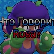 Что Говорит Роза Brawl Stars