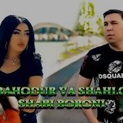 Баходур Шахло Шаби Борони