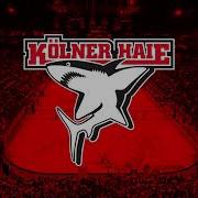 Kölner Haie Goal Horn 2022 23 Youtube