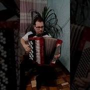 Ландыши На Баяне