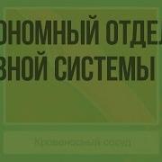 Автоноиный Отдел