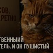 Аудиокниги Детективы Русские 2024