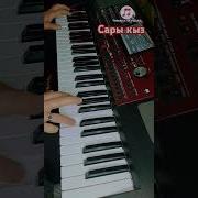 Ай Сары Кызcover Korg Pa 700