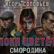 Игорь Соловьев