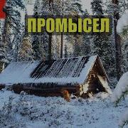 Аудио Рассказы Про Охоту Сибирь Тайгу