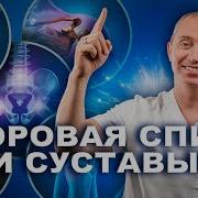 Здоровый Позвоночник И Суставы Шишонин