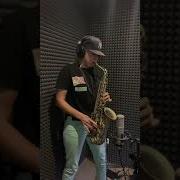 Dr Alban Lt S My Lifi Sax Remix Cover Ladynsax