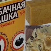 Обработка Теплиц