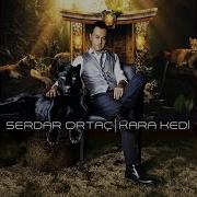 Serdar Ortac Kara Kedi