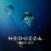 Tony Igy Meduzza