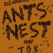 Ants Nest Feat T O K