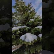 Заснули Была Осень Проснулись Зима