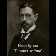 Петлистые Уши