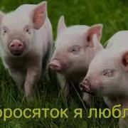 Логоритмика Поросёнок
