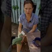 Лопух Почему