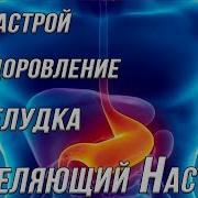 Сытин Пищеварительная Система