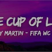 Lyrics The Cup Of Life Ricky Martin Fifa World Cup France 1998