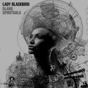 Lady Blackbird When The Game Is Played On You Visualiser 2024