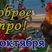 Доброе Утречко Тик Ток