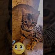 Прежде Чем Осуждать Кого То
