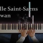 Saint Saens The Swan Piano